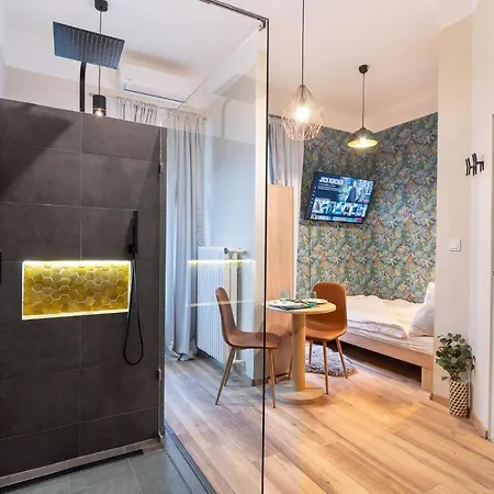 Aircontitoned 2 Baths Apartman In The Center